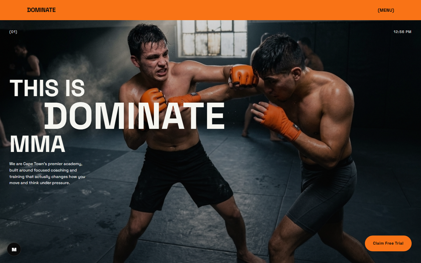 DomiNate MMA Academy